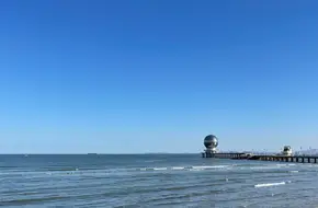 Yellow Sea Pearl