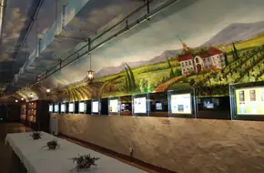 Qingdao Wine Museum