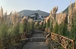 Anji Yucun Scenic Area
