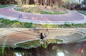 Yufeng Mountain Forest Park