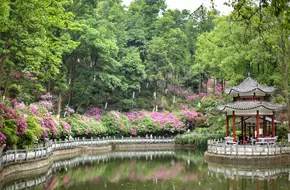 Chinese Academy Of Sciences, Guilin Botanical Garden