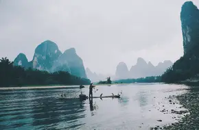 Yellow Cloth Reflection
