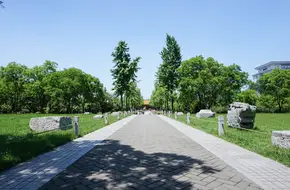 Ruins Of The Ming Palace