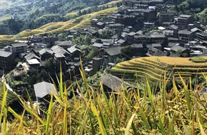 Jiulong Wuhu Observation Deck