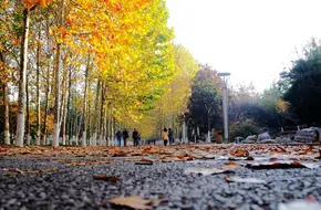 Tai Ping Jiao Park