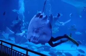 Haichang Happy Coast Amusement Plaza