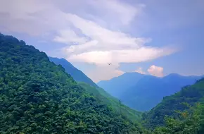 Jingkongli