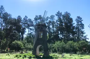 Bamboo Expo Garden Tethered Flight