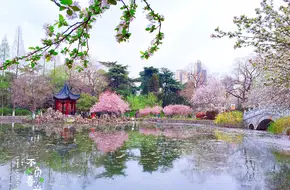 Mochou Lake Park