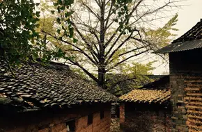 Jiulian Village