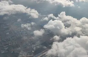 Xinjiang Shuiqing Muhua