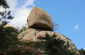 Immortal Peach Stone
