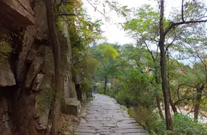 Fish Scale Gorge