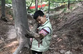 Zelkova Forest Park
