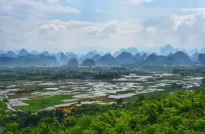 Huixian Mudong Maojia Village Wetland Ancient Willow Canal Dragon Head Mountain