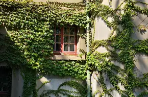 Former Eastern Customs Staff Dormitory