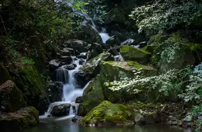 Hidden Dragon Waterfall