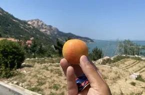 Qingdao Laoshan National Scenic Area - Tianxin Pool