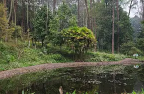 Chinese Academy Of Sciences, Guilin Botanical Garden