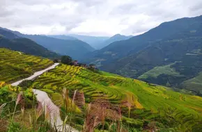 Longji Old House