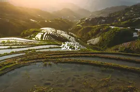 Xianggong Mountain Villa Home Of Filmmakers