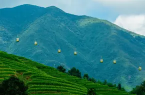 Jinkeng Rice Terraces