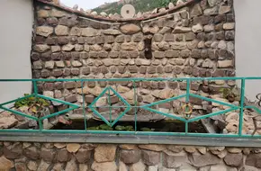 Apricot Garden Picking