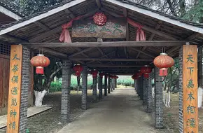Guilin Tea Research Institute