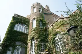 Qingdao Flower Stone Floor