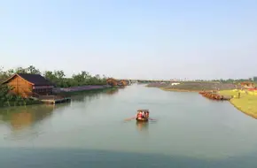 Riverbank Sea Of Flowers