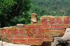 Huahualang Forest Park