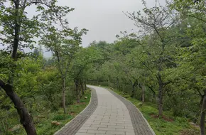 Plump View Pavilion