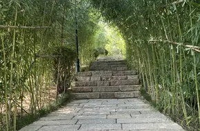 Bamboo Grove Temple Park