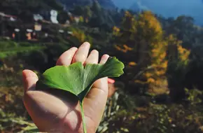 Beidaidi