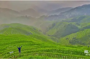 Longji Rice Terraces