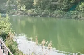 Yufeng Mountain Forest Park