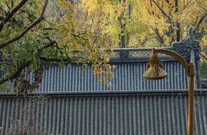 Jiuhuashan Park