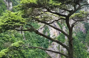 Mingfei Seven Peaks