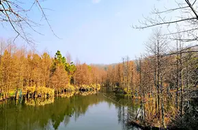 Front Lake Park