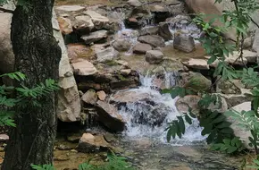 Flying Phoenix Cliff