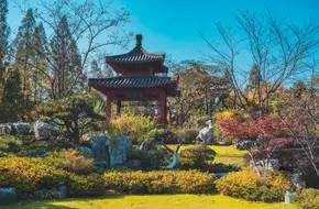 Xuanwu Lake Park-Cherry Islet