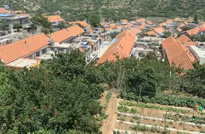 Jiang Family Cherry Orchard