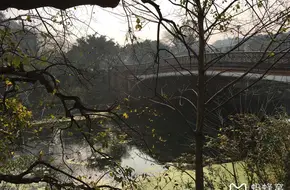 Hidden Dragon Bridge