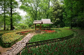 Nanjing Zhongshan Botanical Garden - Plant Exposition Park