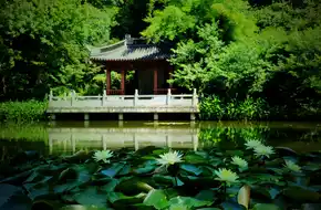 Peach Blossom Lake