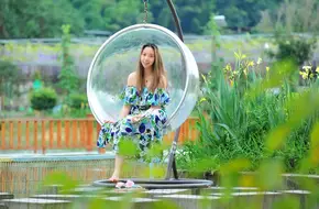 Lotus Pond Delight