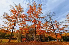 Jubao Mountain Park