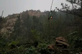 Hua Lou Mountain Cherry And Apricot Picking Garden