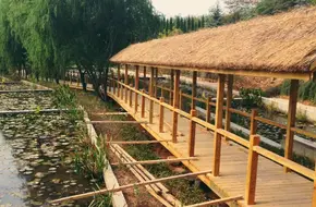 Baishan Mountain Forest Park