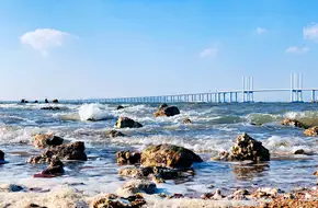 Happy Binhai City